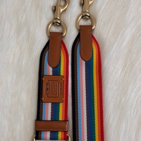 Coach Rainbow Webbing Strap - Picture 2 of 8